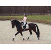 Dečka podsedlová drezurní EQUESTRIAN STOCKHOLM Desert Rose, vel. FULL