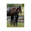 Jezdecká bunda EQUESTRIAN STOCKHOLM Next Generation Black vel. L