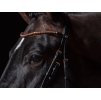 Uzdečka HKM Rosegold Glamour Style, černá, PONY