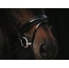 Uzdečka DYON Working s lesklým nánosníkem  - černá, COB