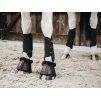 Přední kamaše KENTUCKY Eventing Boots Air Tech - černé L