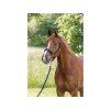 COVALLIERO Ohlávka S/S 2023 - tmavě modrá, PONY