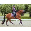 Rajtky EQUESTRIAN STOCKHOLM Compression Dressage Elite Grey, vel. 40