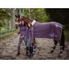Rajtky EQUESTRIAN STOCKHOLM Compression Dressage Elite Grey, vel. 42