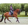 Rajtky EQUESTRIAN STOCKHOLM Compression Dressage Elite Grey, vel. 42