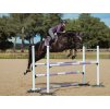 Rajtky EQUESTRIAN STOCKHOLM Compression Jump Elite Grey, vel. 36
