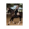 Rajtky EQUESTRIAN STOCKHOLM Compression Dressage SUPREME Black Gold, vel. L