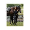 Bunda EQUESTRIAN STOCKHOLM Next Generation Black, vel. M