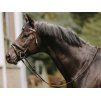 Kožené otěže DYON Hunter 5/8"  - hnědé PONY