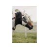 Maska proti hmyzu KENTUCKY Classic - stříbrná SHETTY PONY