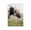 Maska proti hmyzu KENTUCKY Classic - stříbrná PONY