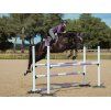Rajtky EQUESTRIAN STOCKHOLM Compression Jump Elite Grey vel. 40