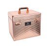 IMPERIAL RIDING Box na čištění Shiny, Rosegold, UNI