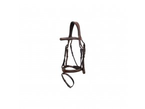 flash noseband bridle