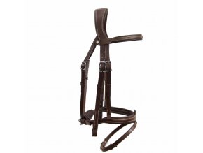 flash origin bridle