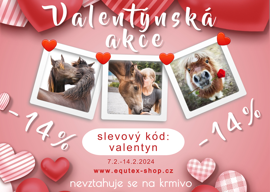 Valentýnská akce