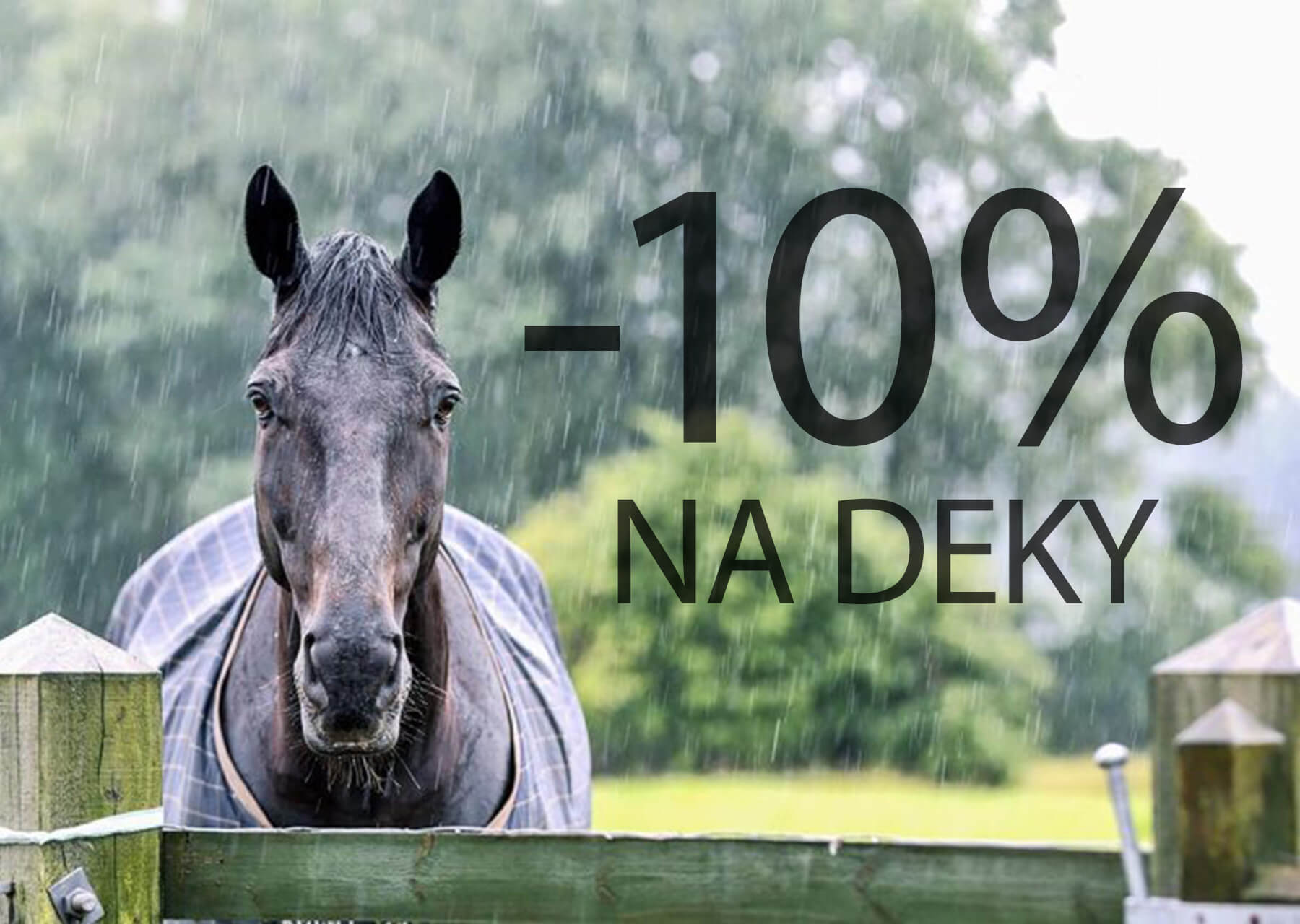 Equtex akce na deky
