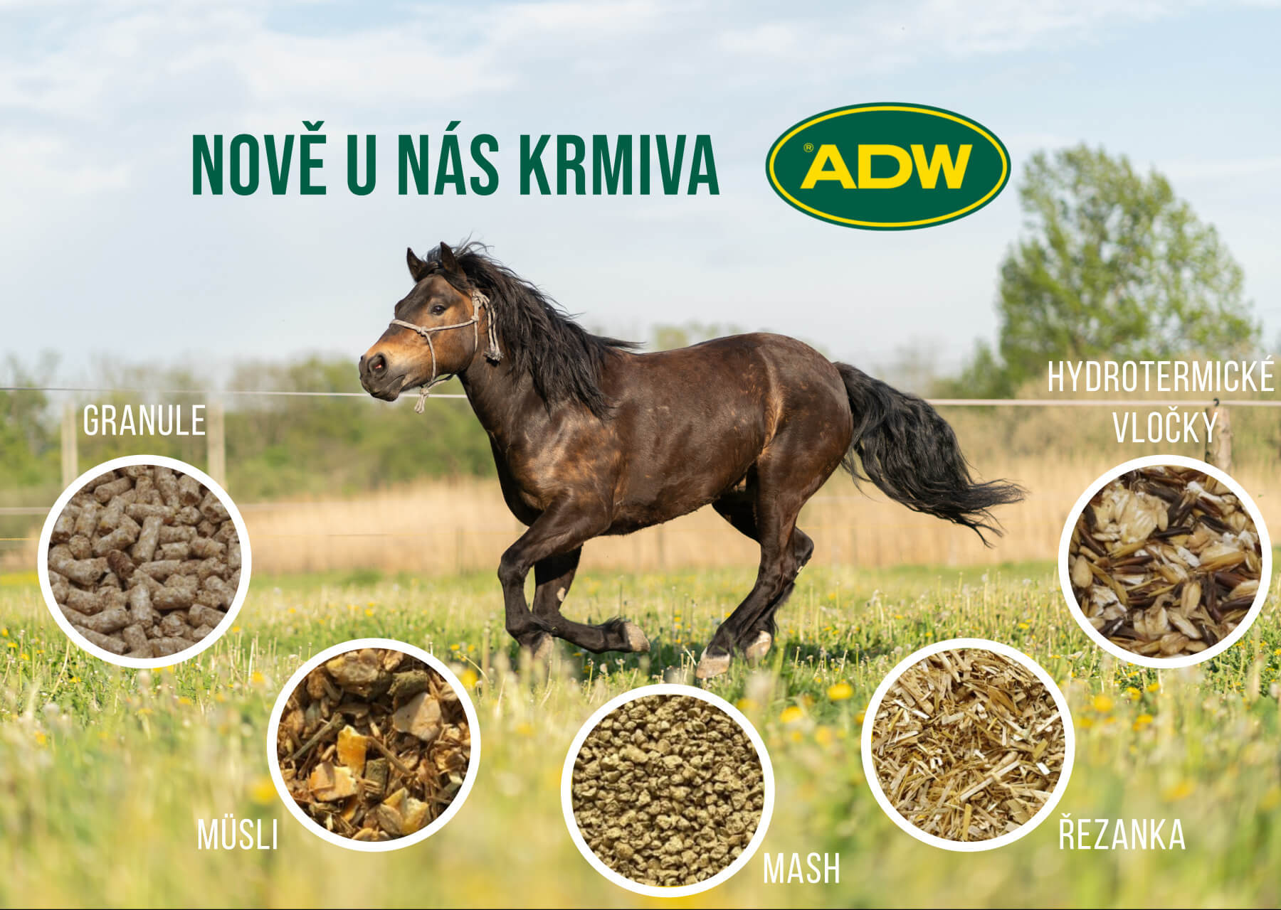 ADW Krmivo