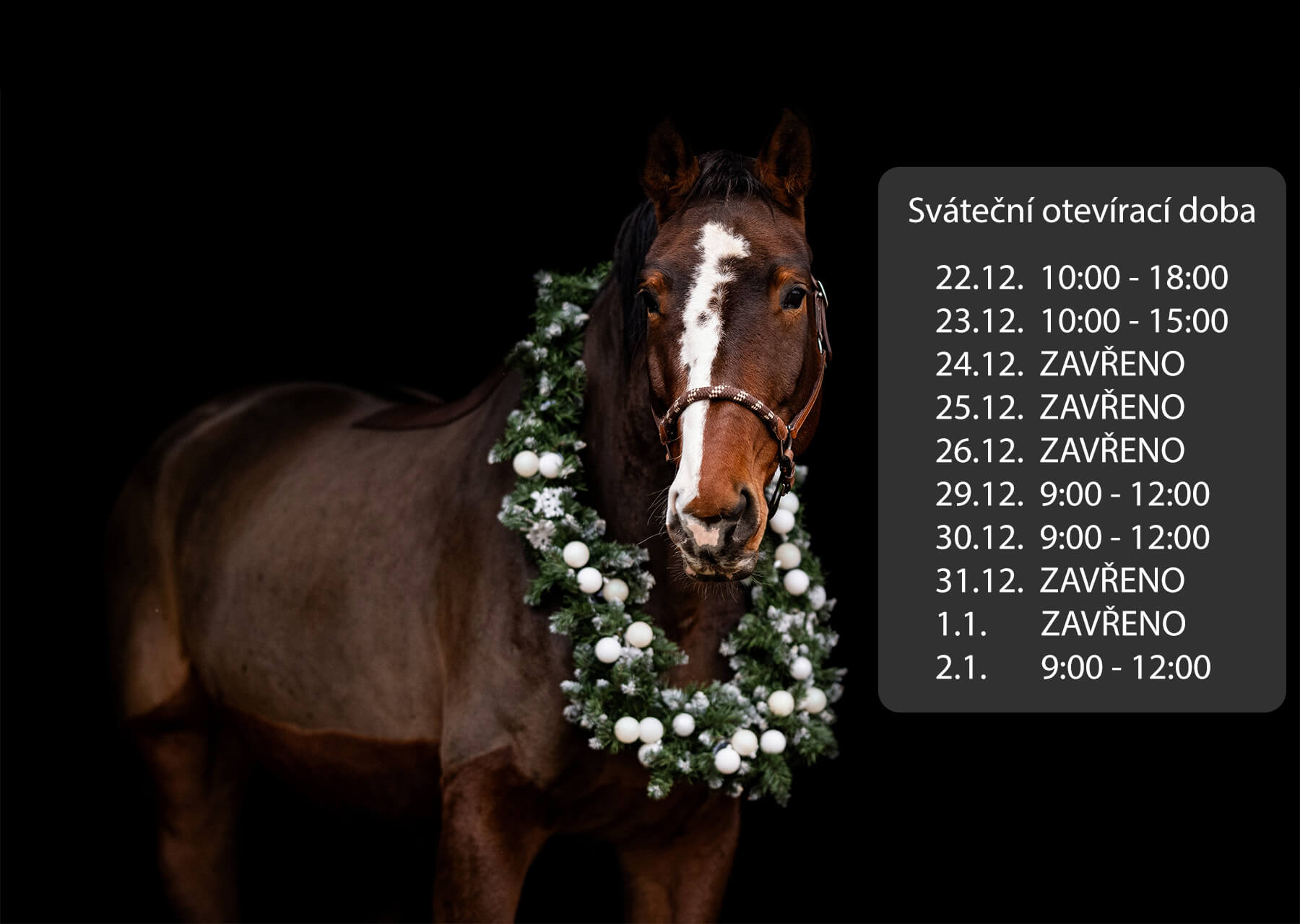 Vánoční otevírací doba Equtex