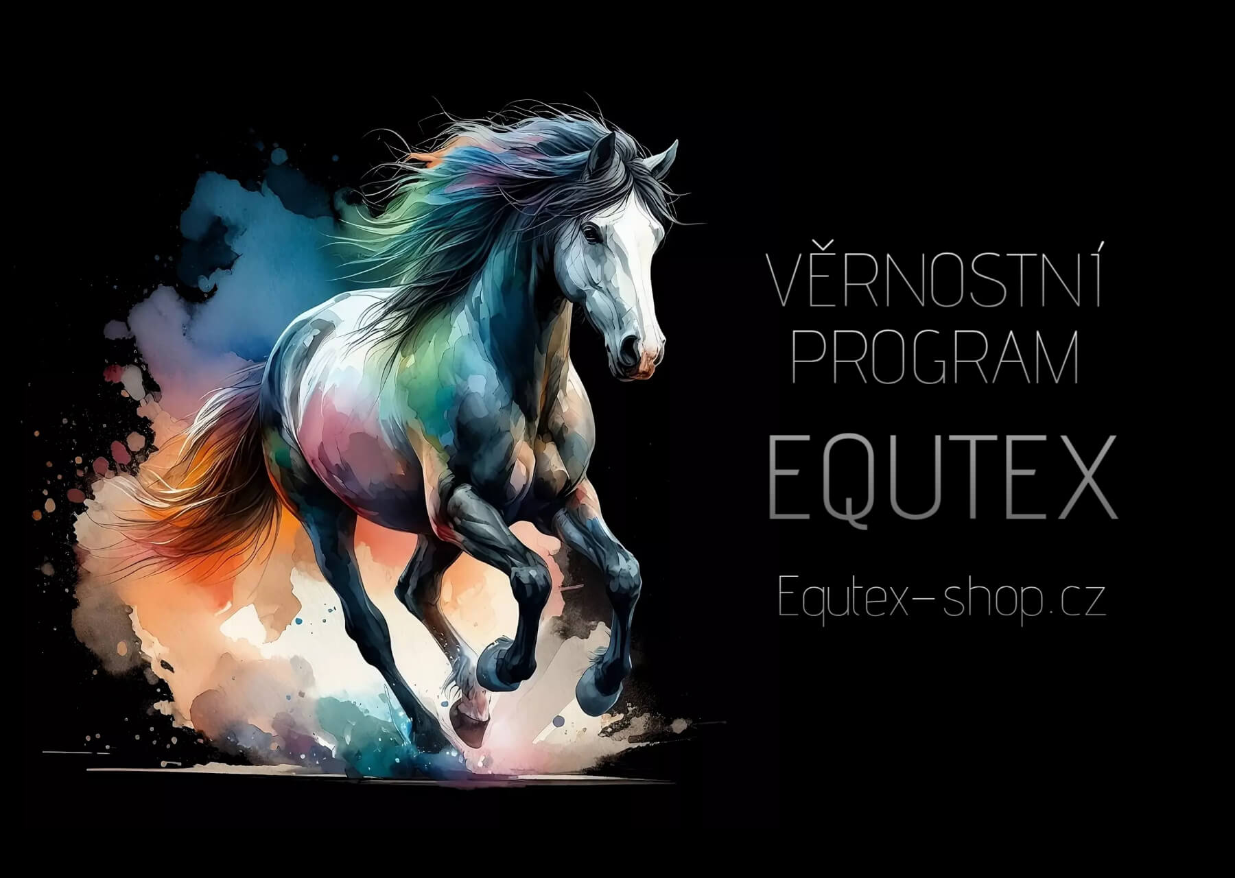 Věrnostní program Equtex