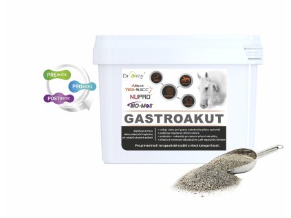 Gastroakut kybl 1