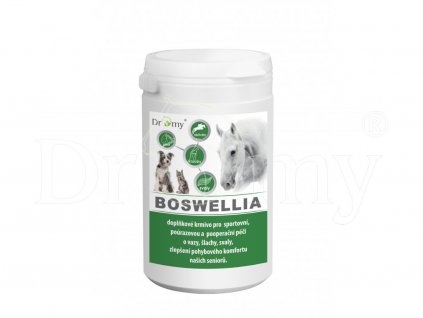 Dromy BOSWELLIA Serrata 750 g