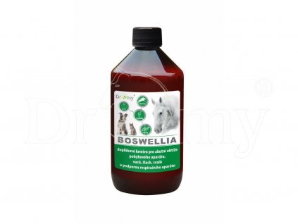 Dromy BOSWELLIA liquid 1000ml