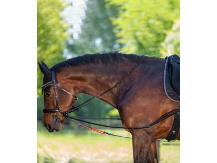 Waldhausen W-trainRein (Velikost PONY, Barva black)