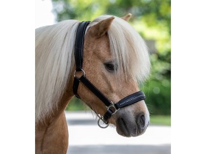 Ohlávka STAR Diamond Waldhausen (Velikost MINISHETTY, Barva yellow)