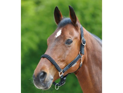 Ohlávka Crystal Waldhausen (Velikost PONY, Barva black)