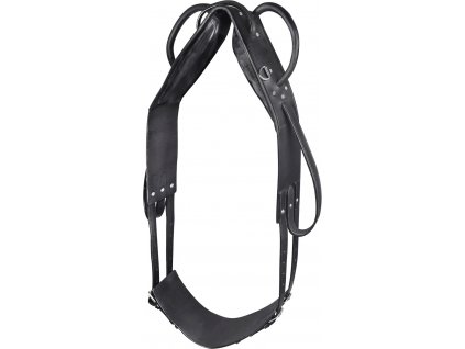 Lonžovací/voltižní obřišník Waldhausen (Velikost PONY, Barva black)