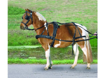 Nylonový poprsní postroj pro pony Waldhausen, pony a shetty (Velikost PONY, Barva black)