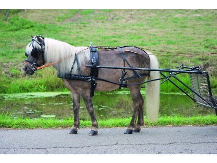 Postroj Star Economic, pony a shetty (Velikost MINISHETTY, Barva black)