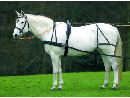 Poprsní postroj pro velké koně Star Cob a Full (Velikost COB, Barva black)