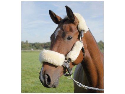 Pravý beránek na ohlávku 4 dílný set