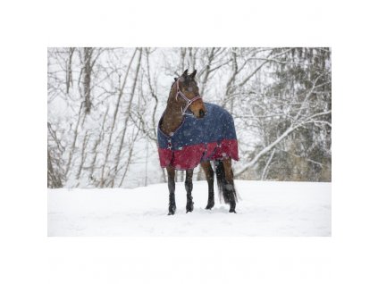 equitheme tyrex 1200 d turnout rug (3)