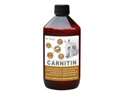 L-Carnitin sirup 1l Dromy