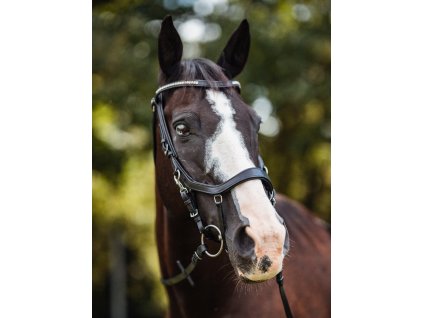 uzdecka-django--anatomicky-tvarovana