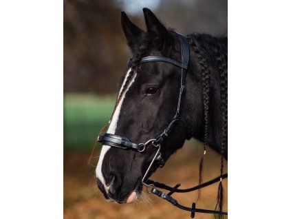 Kompletní hackamore uzdečka