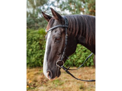 Uzdečka Sensitive, bez nánosníku s podbradním řemínkem