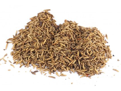 Sušený hmyz - Larva Bráněnky 2,5kg