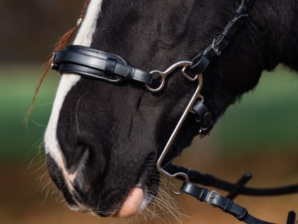 Hackamore S H4U