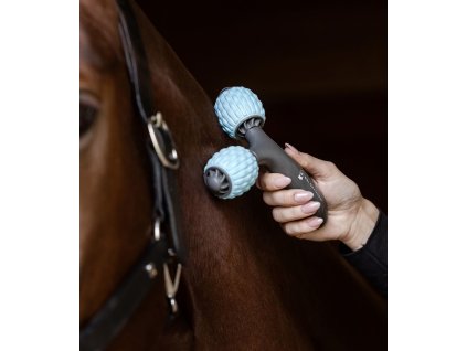 5700800 13 1920x1920