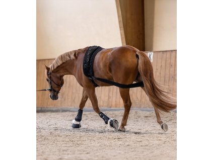 Body bandage na lonžování (Velikost Cob/Full, Barva black)