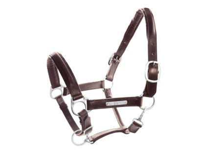 Kožená ohlávka s plíškem na lícnici, tmavě hnědá s mozazným kováním