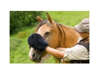 Čistící rukavice oboustranná