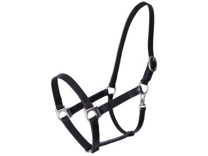 Kožená ohlávka QHP Boaz Pony