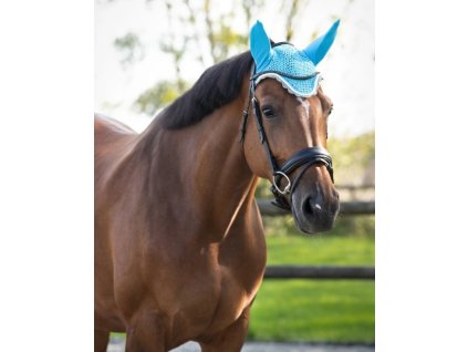 Čabraka QHP Color Sky - Pony