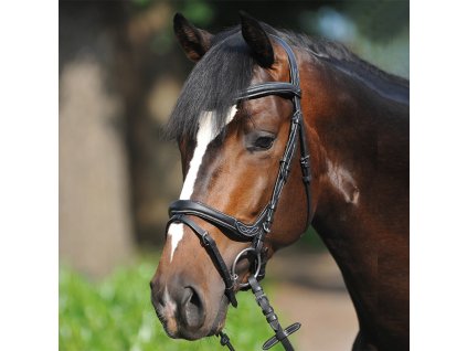 Uzdečka Kavalkade Ivy Flash