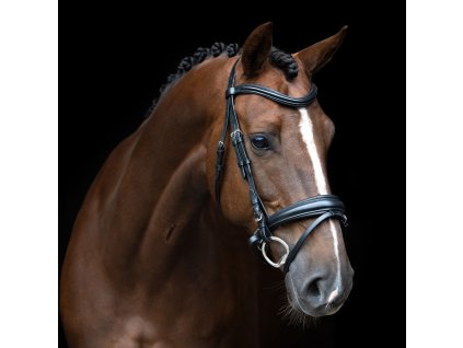 Anglická uzdečka IHR, black